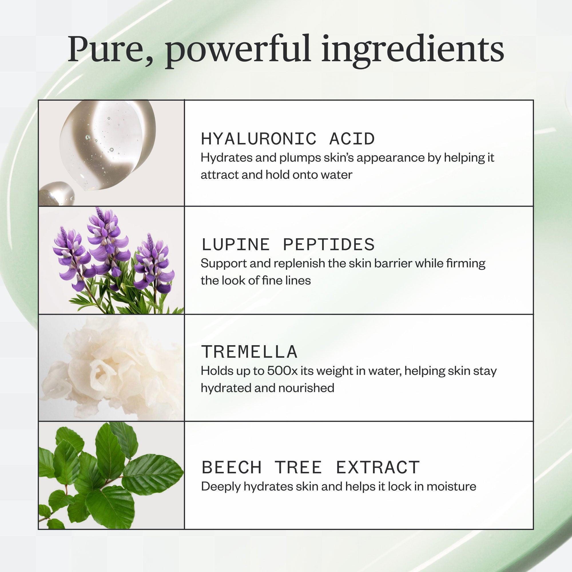 List of skincare ingredients with corresponding images and descriptions on a light green background.