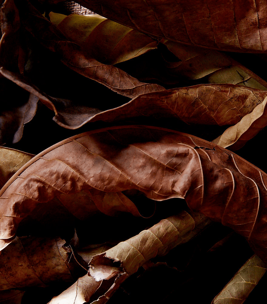Coqui Coqui Tabaco Eau de Parfum