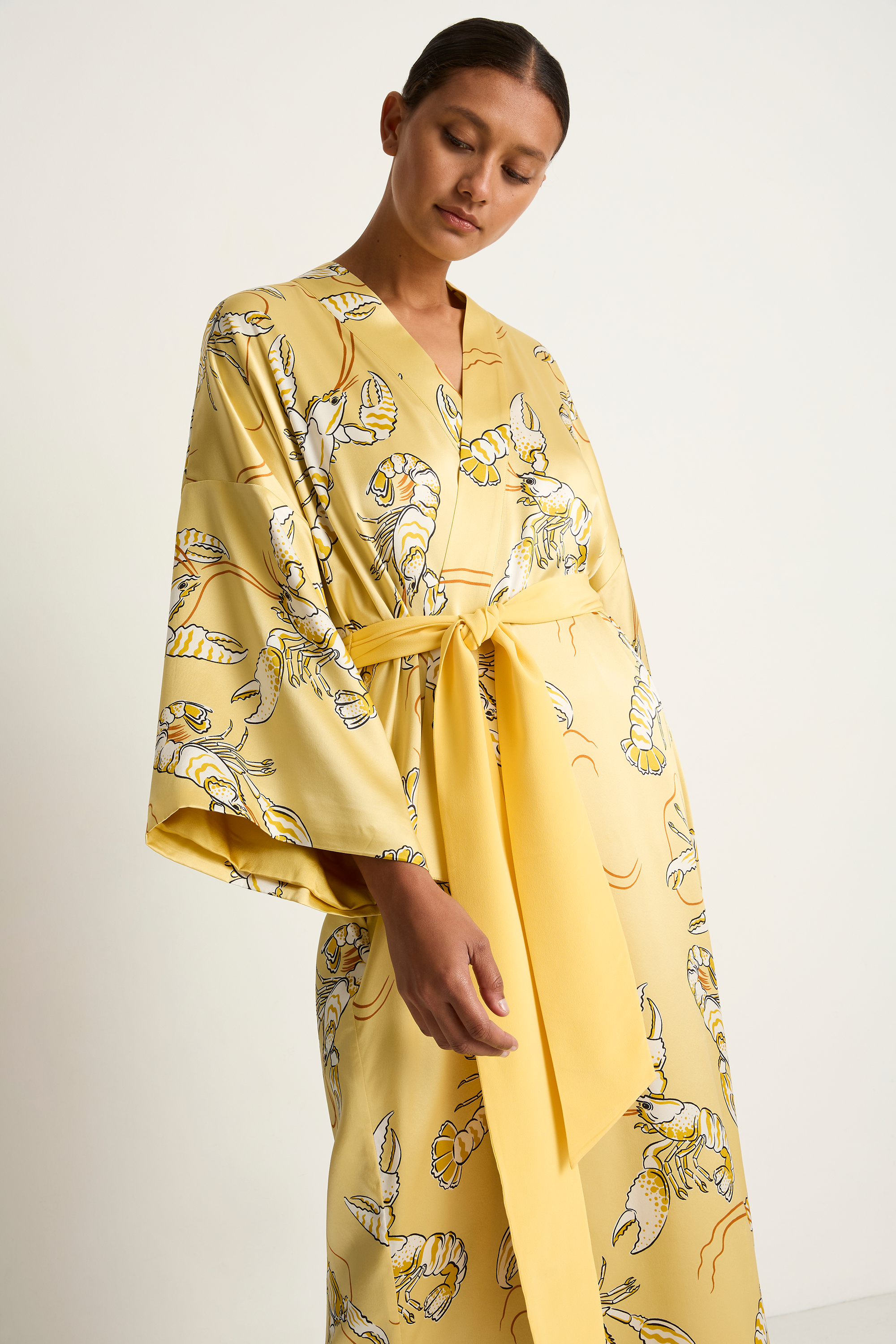 Olivia Von Hale Queenie Robe - Perseus