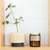 P. F. Candle. Co. Standard Candle - Teakwood & Tobacco