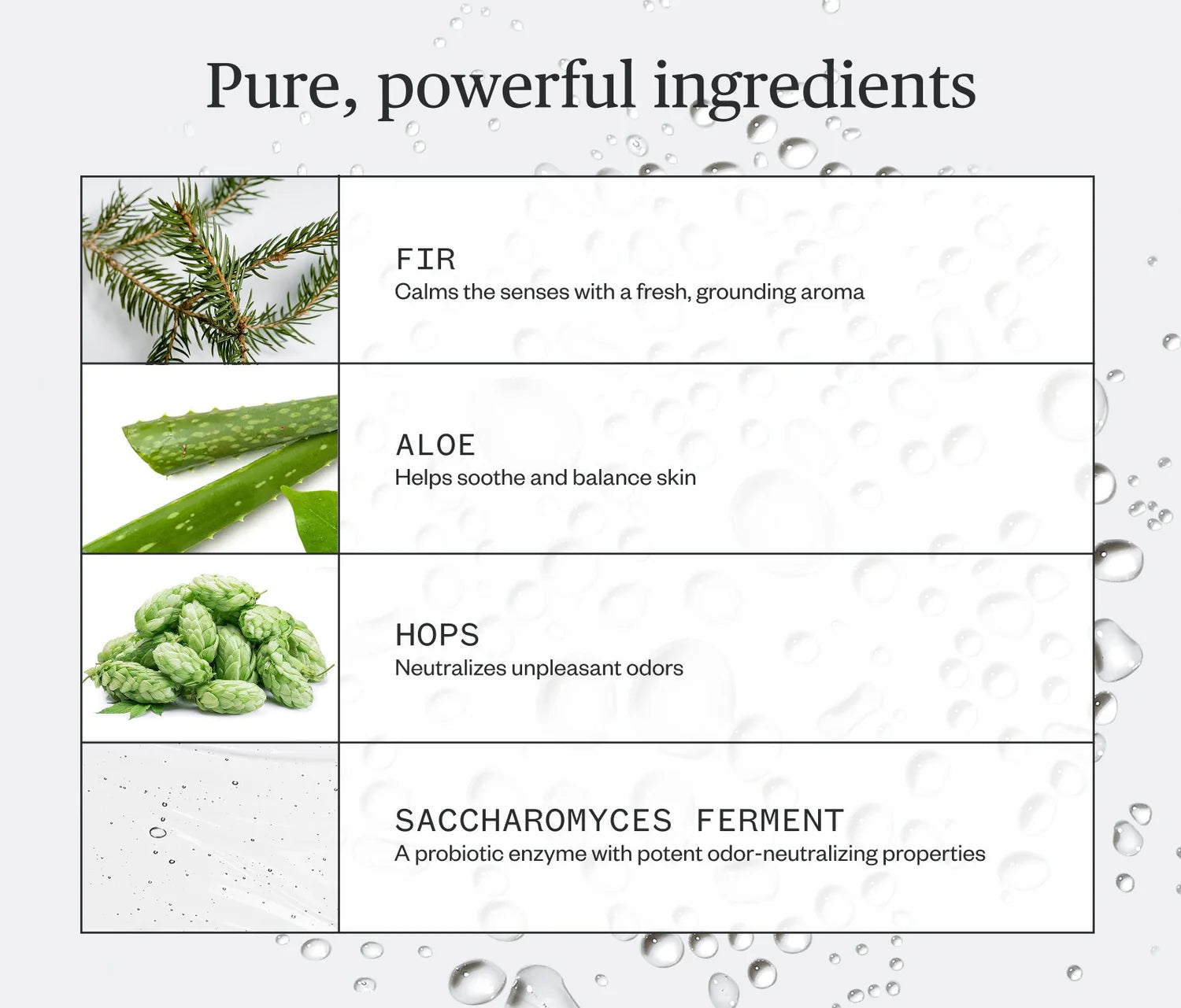 Ursa Major Forest Fix Spray Deodorant